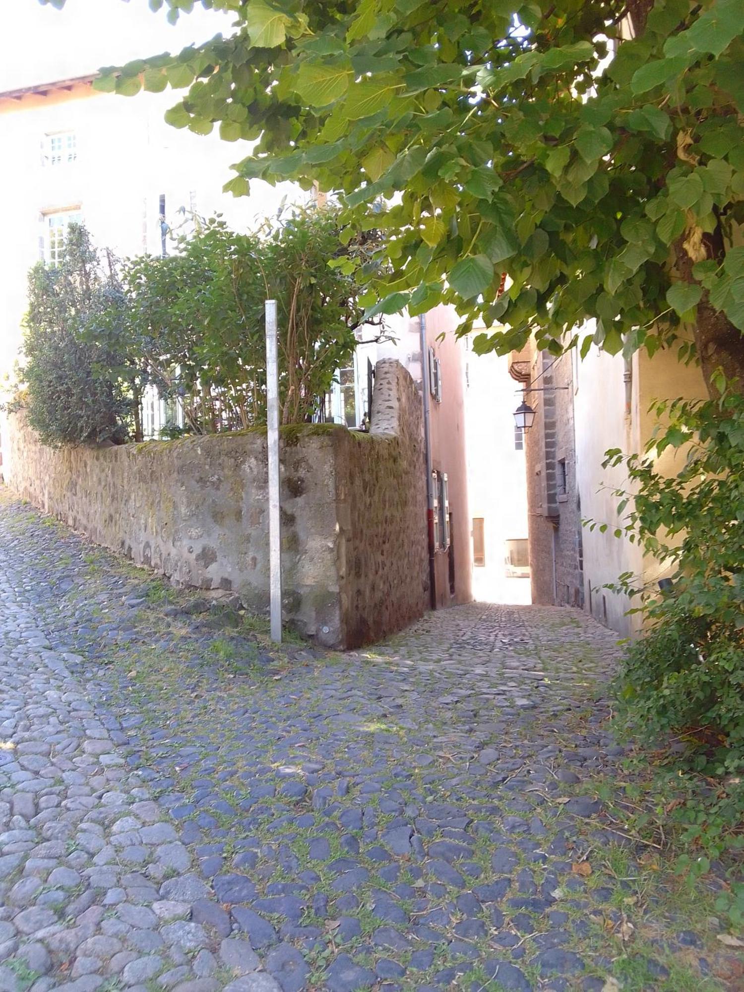 Le Relax Max Apartment Le Puy-en-Velay ห้อง รูปภาพ